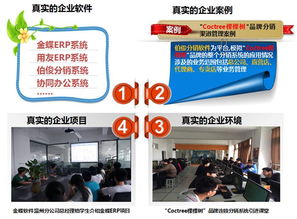 軟件與信息服務 信息技術系中的核心驅動力